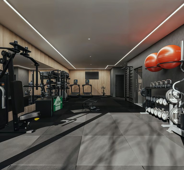 imgi_12_academia-1-jj-AR03DZjo64HD87en